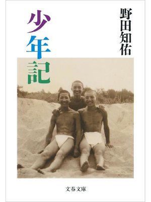 cover image of 少年記